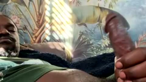 tacovegan4 online show from 16, 12, 2025