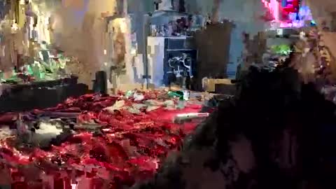 tailorfitted online show from 16, 10, 2025