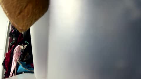 tali  online show from 25, 10, 2025