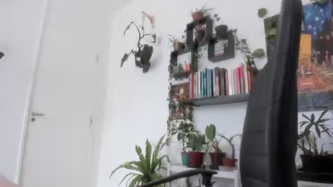 Snapshot of talimajid chatting on 26, 11, 2025 Tali Majid online show from 26, 11, 2025