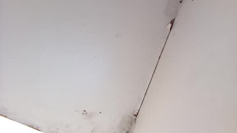 tall6feet7inch online show from 16, 3, 2026