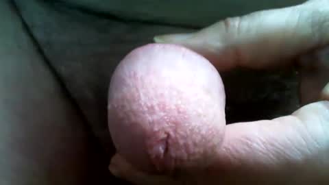 tallgentleman online show from 1, 12, 2024