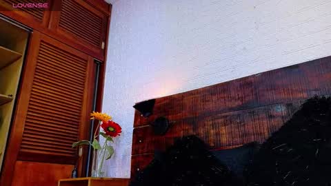    online show from 17, 10, 2025