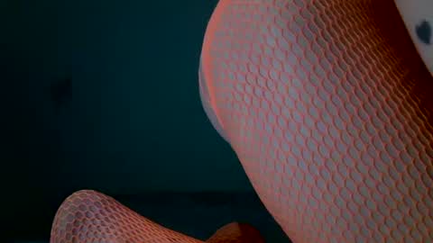 tamesbury online show from 8, 3, 2026