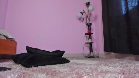 TAMARA  online show from 23, 1, 2025