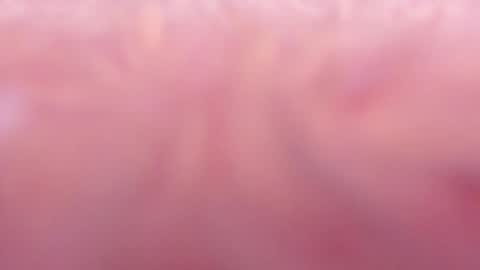 Snapshot of tamy_ian chatting on 31, 1, 2025 Tamy ian online show from 31, 1, 2025