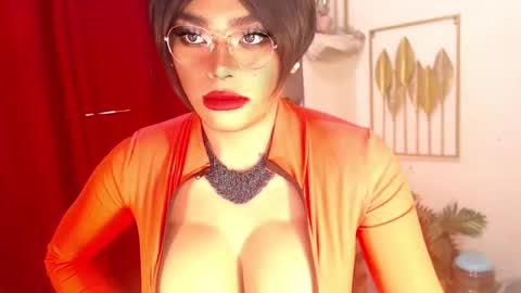 tashaa online show from 6, 3, 2026