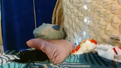 Katty badbitch online show from 19, 4, 2026