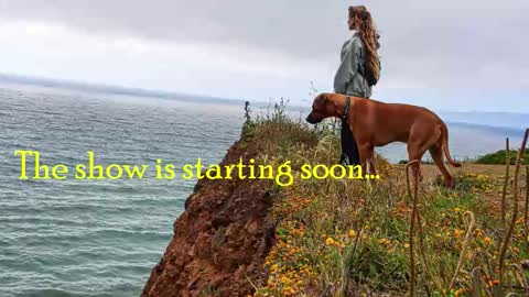 TATUM  ALL MY LINKS  online show from 7, 2, 2026