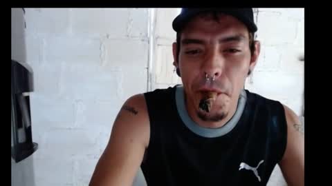 tayler punk online show from 1, 12, 2024