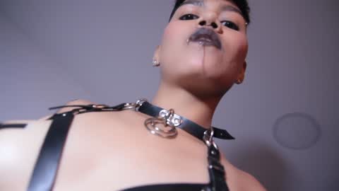 Taylor online show from 9, 1, 2025