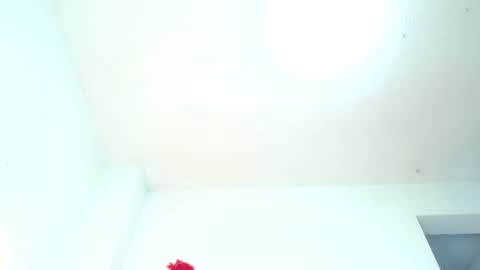 Snapshot of taylorqueen_08 chatting on 28, 12, 2024 taylorqueensex online show from 28, 12, 2024