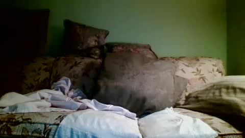 Teak online show from 19, 10, 2025