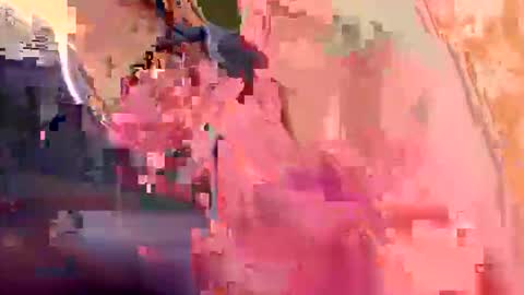 Teddy online show from 17, 4, 2026