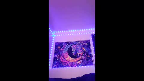 tedestep2 online show from 17, 4, 2026