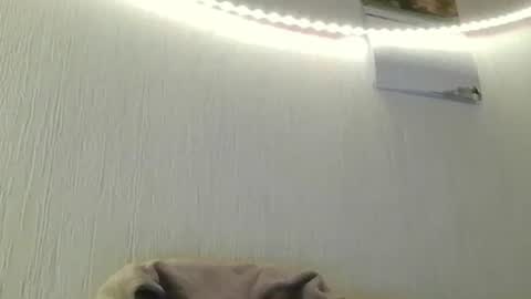 Snapshot of teeforyou chatting on 8, 7, 2026 Peter online show from 8, 7, 2026