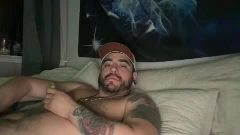 Snapshot of terppapi chatting on 20, 2, 2026 terppapi online show from 20, 2, 2026