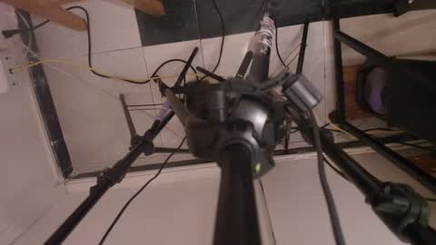 Terra Elowen online show from 22, 12, 2025