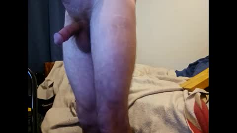 terrywillow online show from 28, 12, 2024