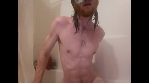 terrywillow online show from 28, 2, 2026