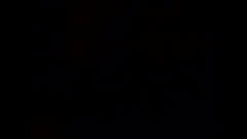 terrywillow online show from 1, 4, 2026