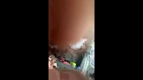 teslajustdoit online show from 3, 3, 2026