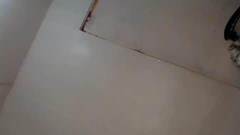 Luna online show from 8, 3, 2025