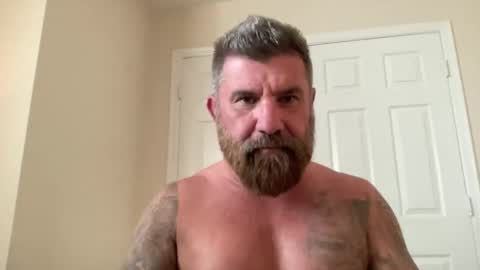 Snapshot of thatguybearded chatting on 5, 3, 2025 ThatGuyBearded online show from 5, 3, 2025