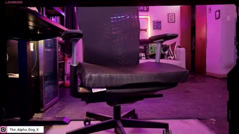 the_alpha_dog_xxx online show from 25, 11, 2025