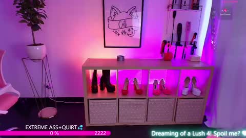 i am Cat  online show from 19, 5, 2026