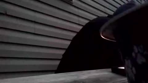 the_invincible_1 online show from 2, 11, 2025