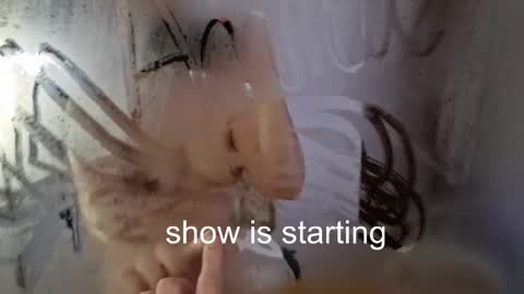 Anna online show from 23, 5, 2026