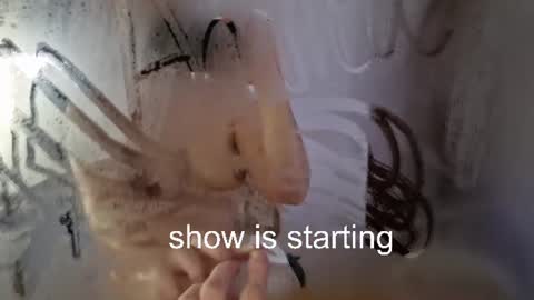 Anna online show from 11, 7, 2026