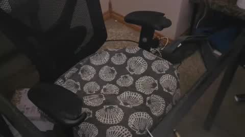 The Bear King online show from 5, 1, 2025