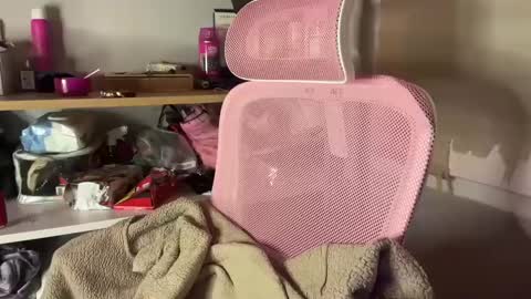 thecontcobracock24cm online show from 7, 2, 2025