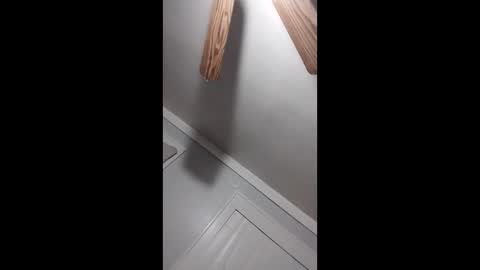 thedailyshower online show from 9, 3, 2026