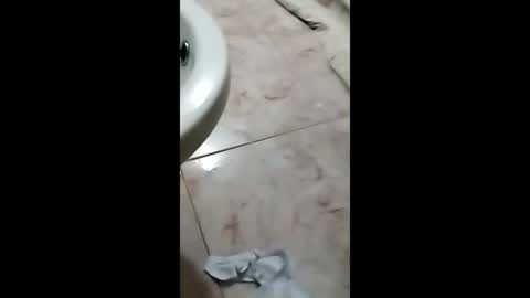 thedo121111 online show from 1, 10, 2025