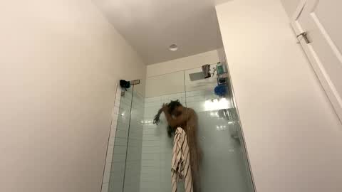 Snapshot of theekingcapo chatting on 26, 12, 2024 king capo thee online show from 26, 12, 2024