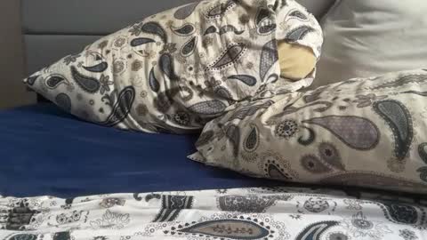 theeshooterr online show from 5, 12, 2024