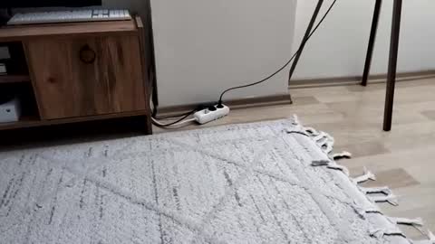 thefckngcber online show from 28, 9, 2025