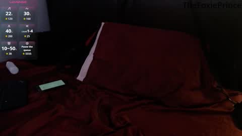 thefoxieprince online show from 25, 11, 2025