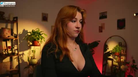   Streaming mostly at    online show from 7, 4, 2026