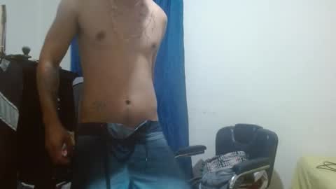 thehousedog online show from 12, 3, 2026