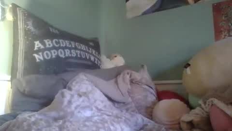 Little Bambii online show from 13, 12, 2024