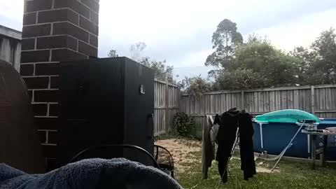 themanyouwant123 online show from 8, 10, 2025