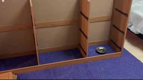 therealdylansdick online show from 15, 11, 2025