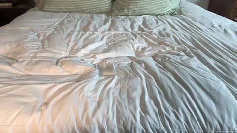 Maya Hill online show from 13, 4, 2026