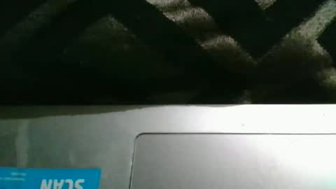 Snapshot of therealstackz69 chatting on 26, 3, 2026 therealstackz69 online show from 26, 3, 2026