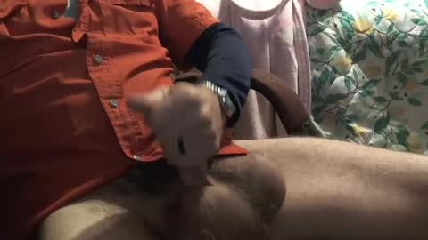 Snapshot of thetnguy chatting on 23, 12, 2024 thetnguy online show from 23, 12, 2024