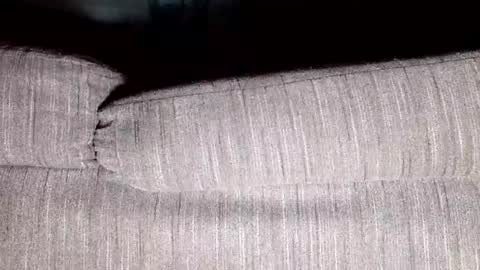 Snapshot of thirsty4itall chatting on 8, 1, 2025 Thirsty4itall online show from 8, 1, 2025